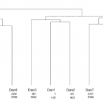Lexomics Dendrogram
