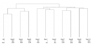 Lexomics Dendrogram