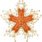 Illustration du profil de Maria Lindenfeldar