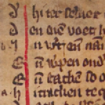 Illustration du profil de Nina Vanhevel